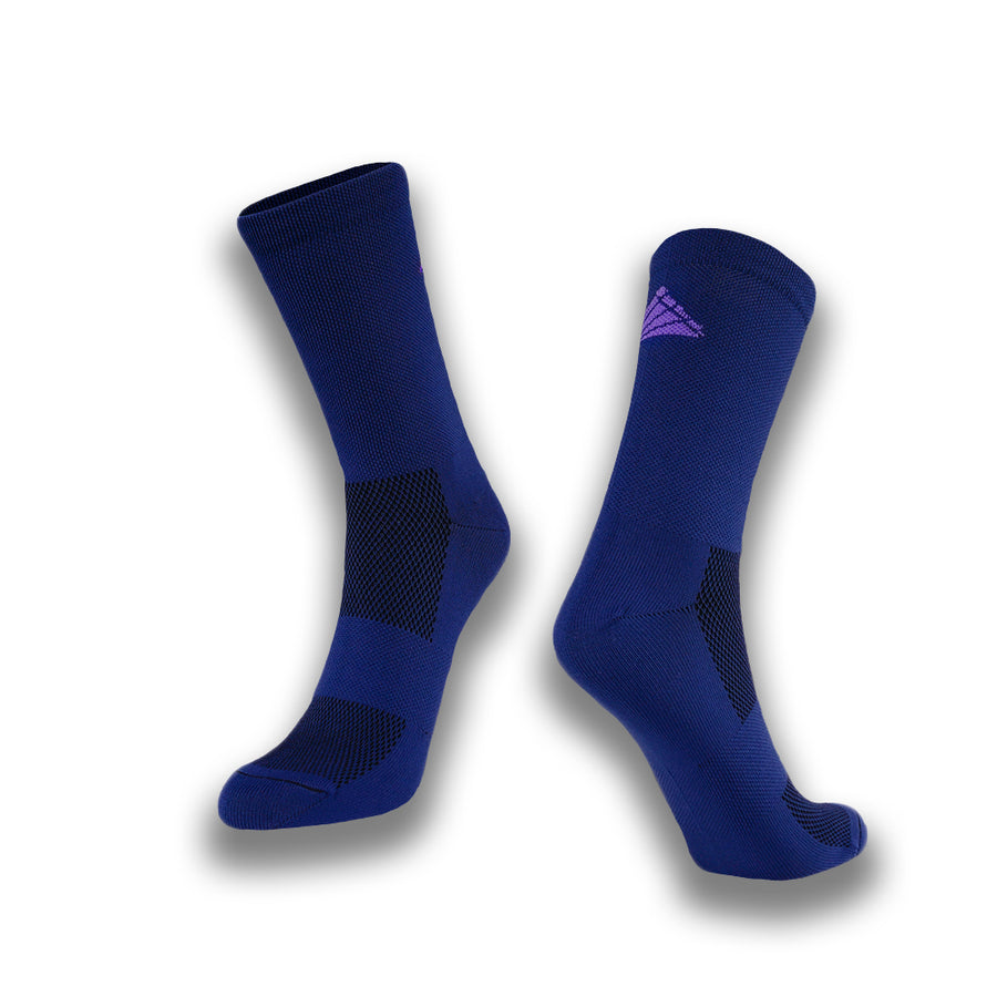 Navy and Amethyst Logo